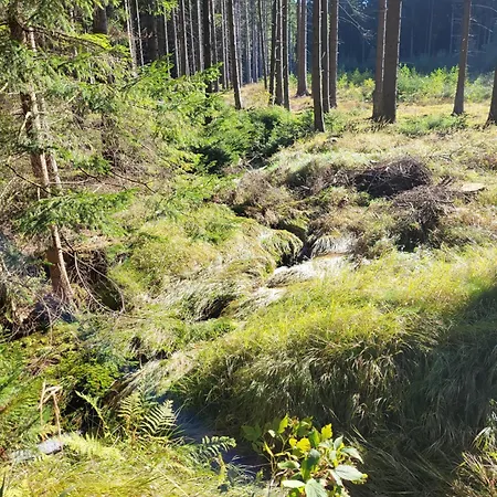 Chaticka Na Cikance Svratka