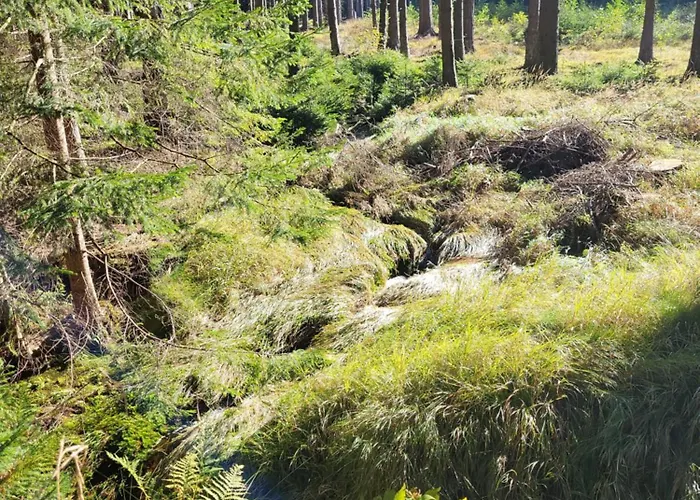 Chaticka Na Cikance Svratka